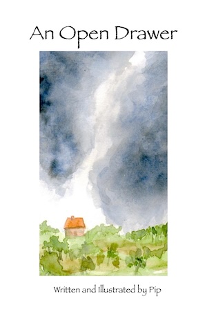 An Open Drawer Cover