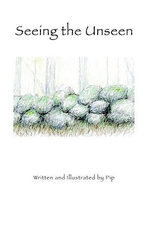 Seeing the Unseen Cover